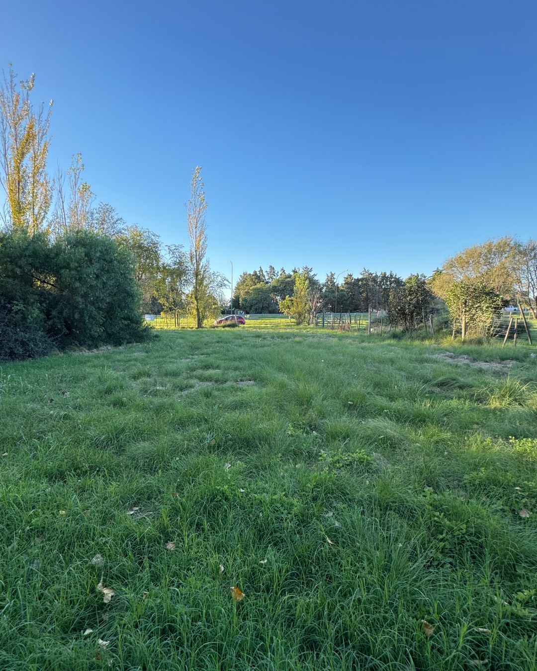 Terreno sobre Circunvalación